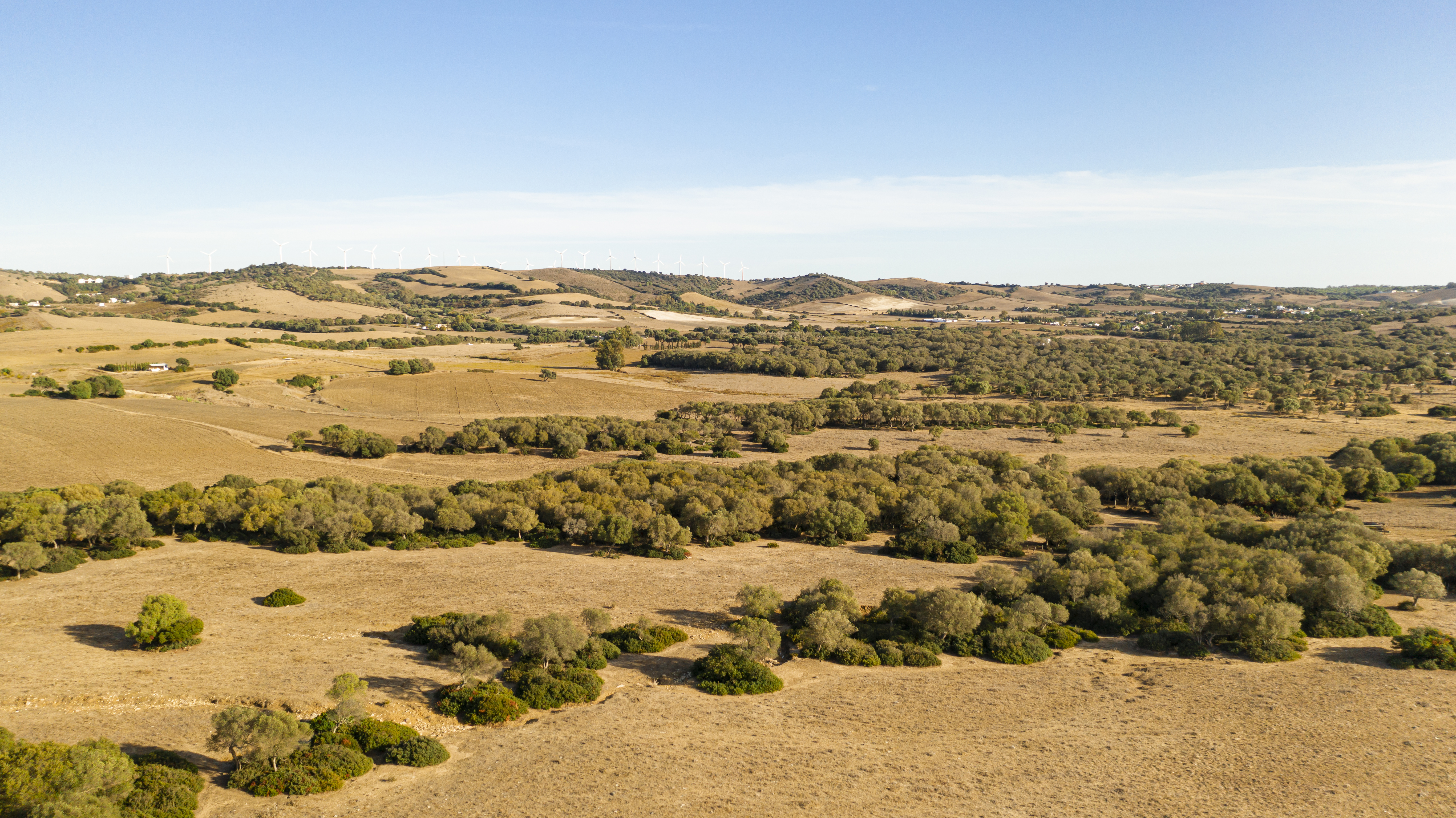 Vista aérea de terreno con potencial de desarrollo